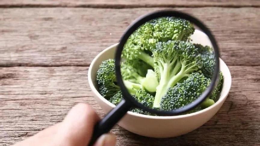 一文读懂元签码核心技术：从加密原理到标签应用的全解析