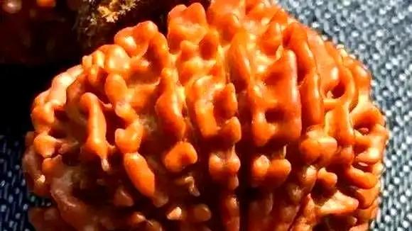 金刚菩提几瓣最好？破除传说，回归本质的理性之选