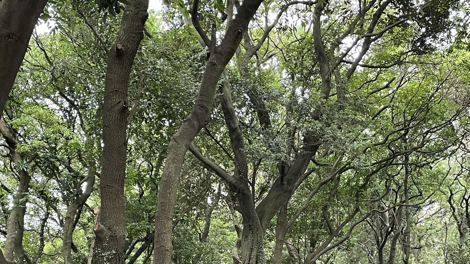 为什么很多关系走着走着就散了？