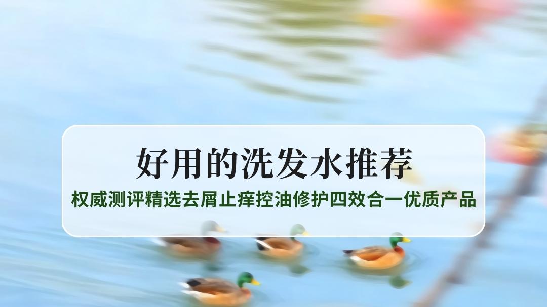 2025好用的洗发水十佳推荐：权威测评精选去屑止痒控油修护四效合一优质产品