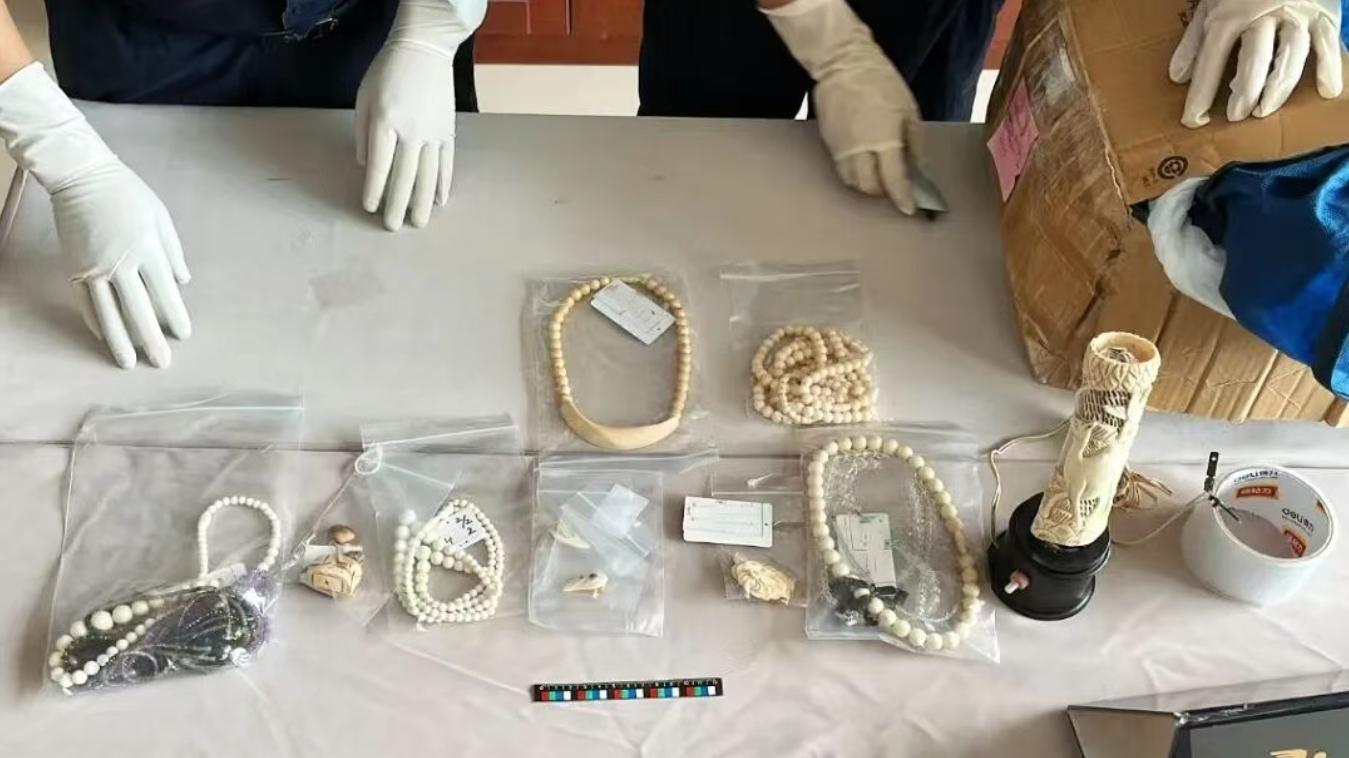 海关律师、走私辩护律师邵丹：查获走私象牙制品