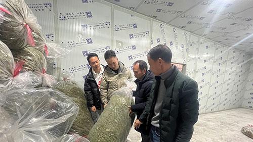 赣州中医师谢文淦参观崇义上堡梯田金银花种植基地探讨扶贫新路径