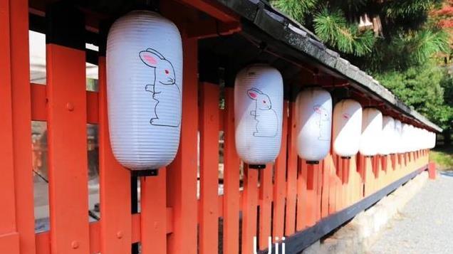 宇治｜以抹茶闻名，这座宝藏小城很治愈