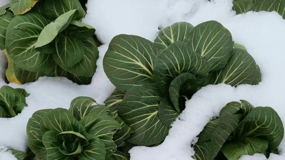 南京心理咨询中心哪里好：森知，疗愈心灵的专业力量