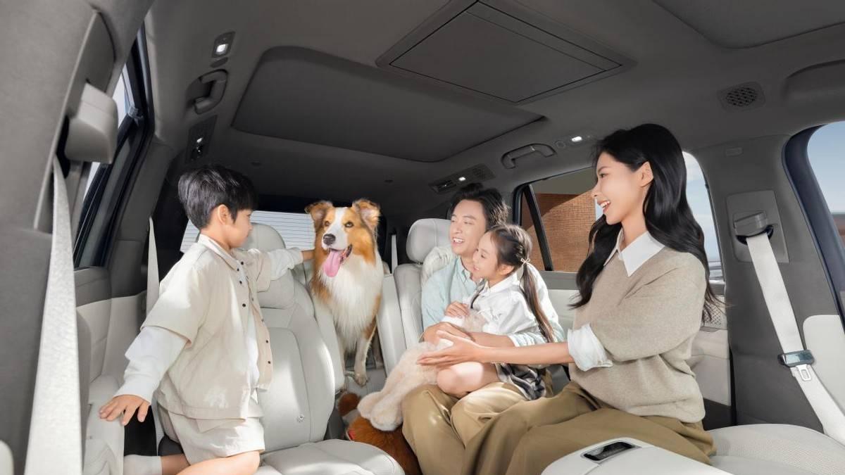 全家三代人的满意之选，腾势N8L终于来了