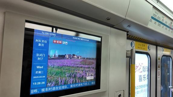 南庄花海惊艳绽放，北京周边游新热点，赏花踏青绝佳选择