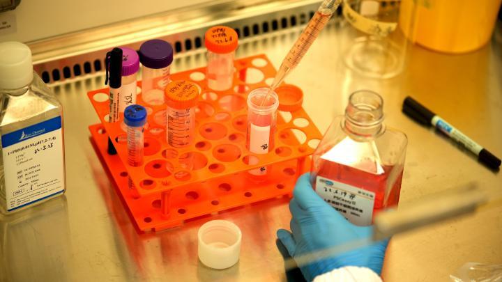 独立于生长激素，阿基孚的IGF-1增敏作用及其机制