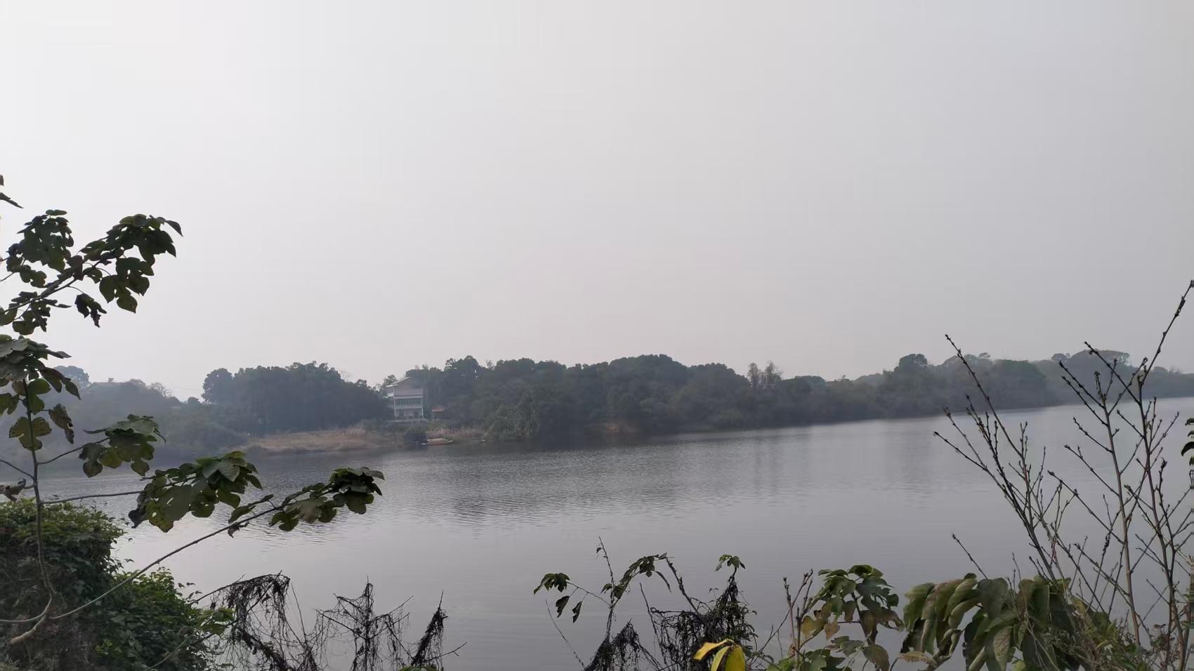 湖南沅江市周公湖村集体土地处置存多项违规 村民诉求追究相关领导责任