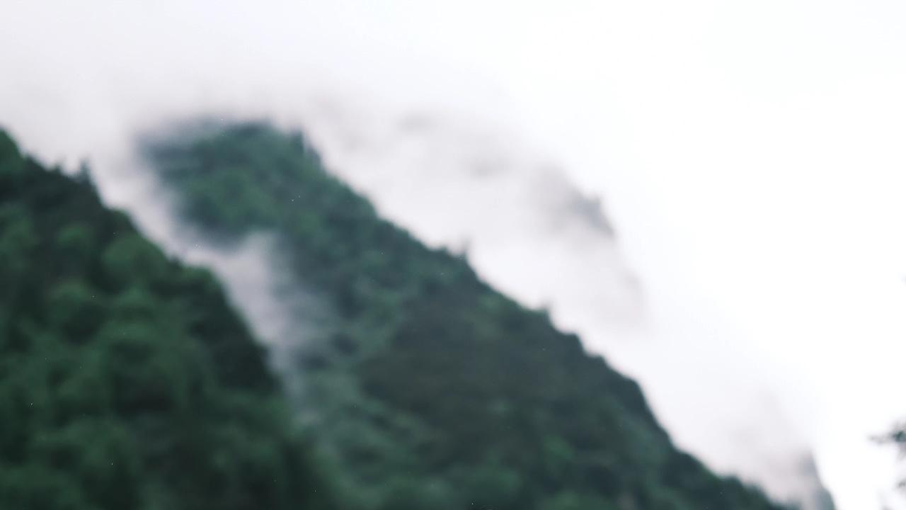 寻找松坪沟最佳拍档，入选就送门票！甜蜜的脆李和19℃清凉一起打包带走~