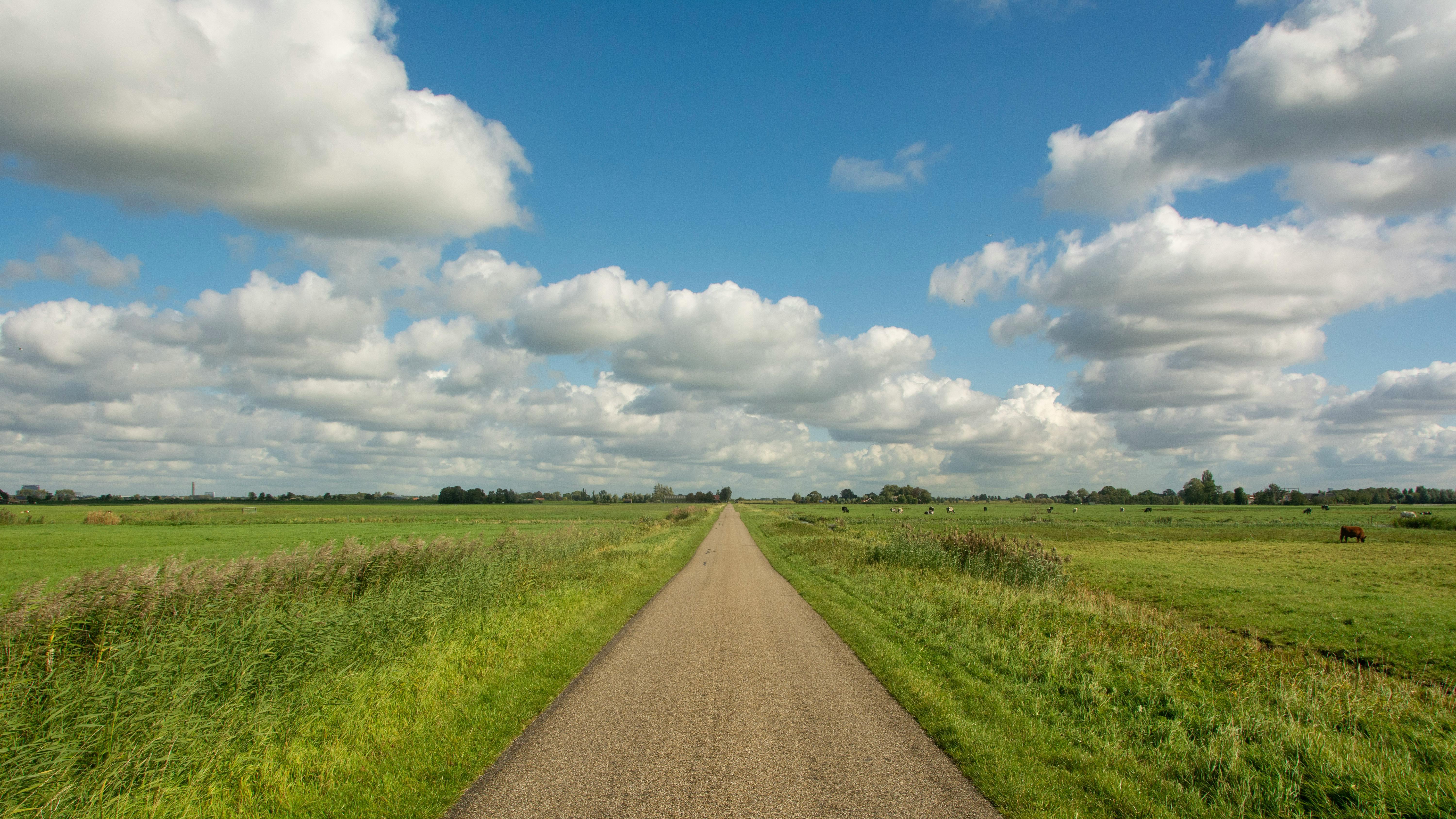 杨绛：只要你不去期盼他人的认可，不去琢磨任何人的想法，不去担心没有发生的事，你就会过得更加自在和从容