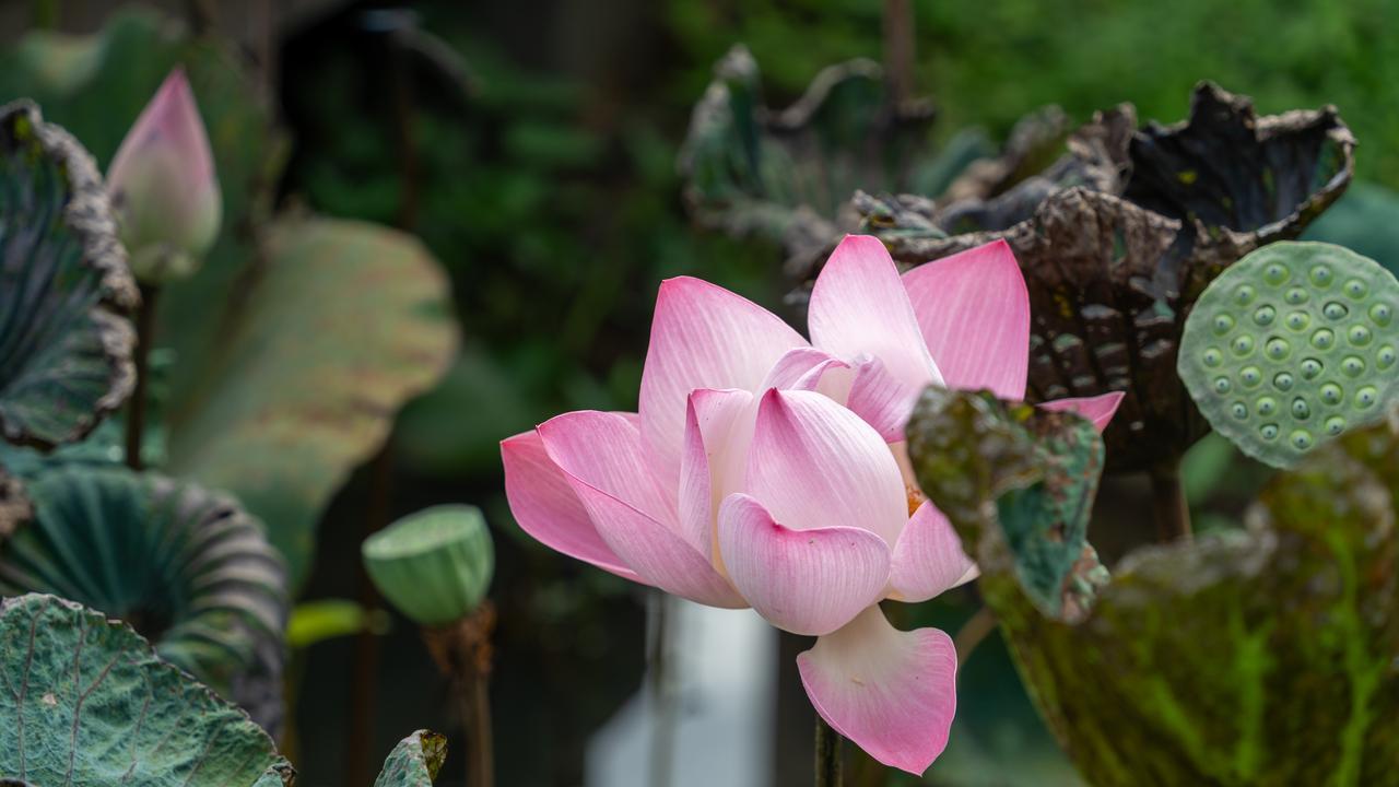 两个人是不是正缘，断联一次就知道了