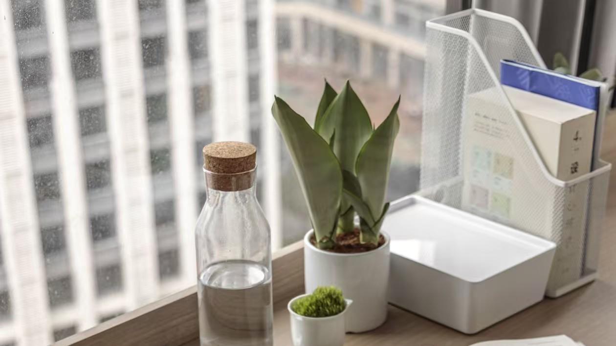 上海挑家装公司避坑指南：不增项+售后稳，老房翻新选对才省心！