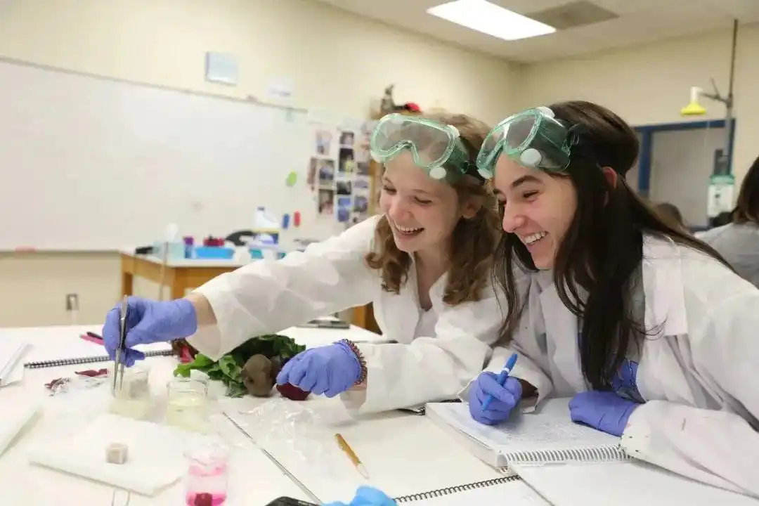 高中女生不再憧憬婚姻？61%仍想结婚，远低于30年前！