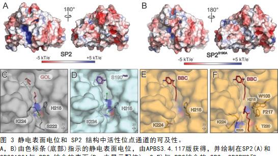 酶+AI联手颠覆传统，循环经济迎来拐点？