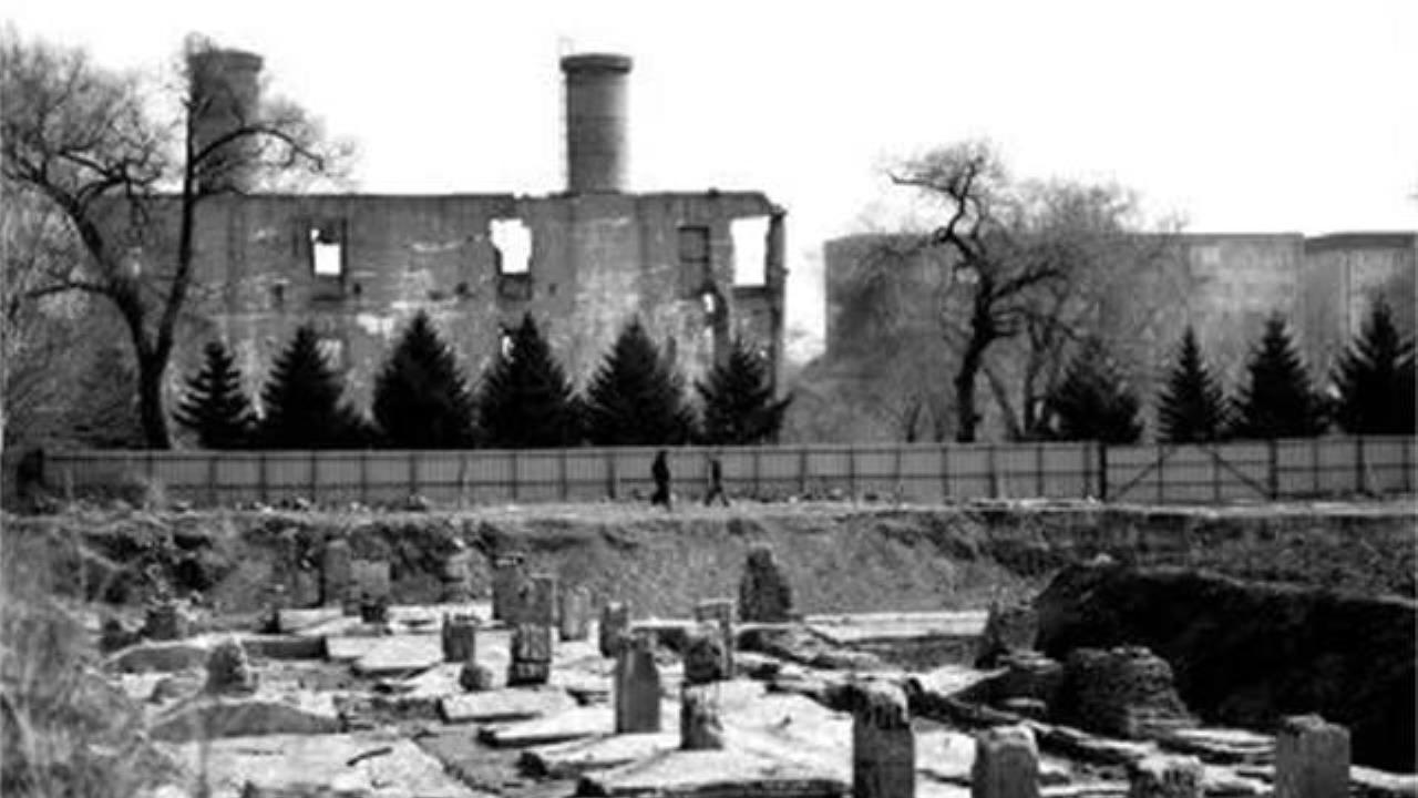 当良知与命令背道而驰：谁才是历史中真正的“叛徒”？