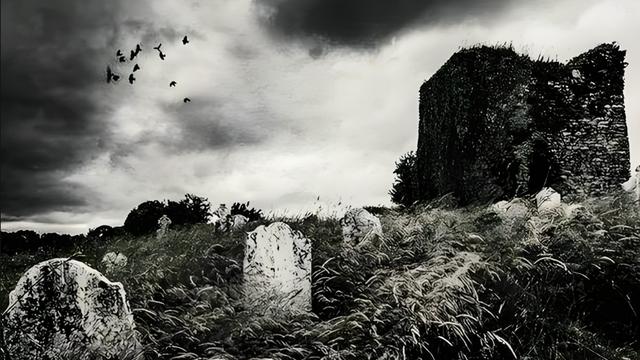 我的人生记忆之九：小学的断断续续（三）