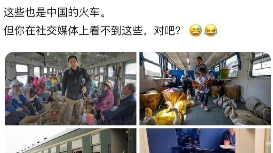印度人炫耀：我家有6个仆人50寸大电视，你们也一样吗？