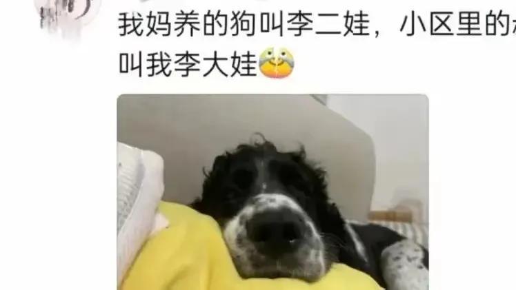 回村后继承了爷爷的外号？在村里叫狗娃，在外婆家叫鳖孙，哈哈