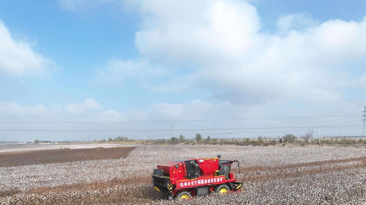 告别高油耗！钵施然新能源采棉机省出未来！