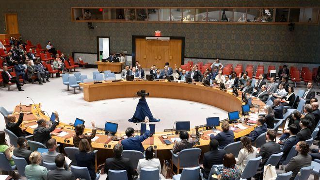 芬兰太直接了！联合国五常的否决权应该取消，真的是这样吗？