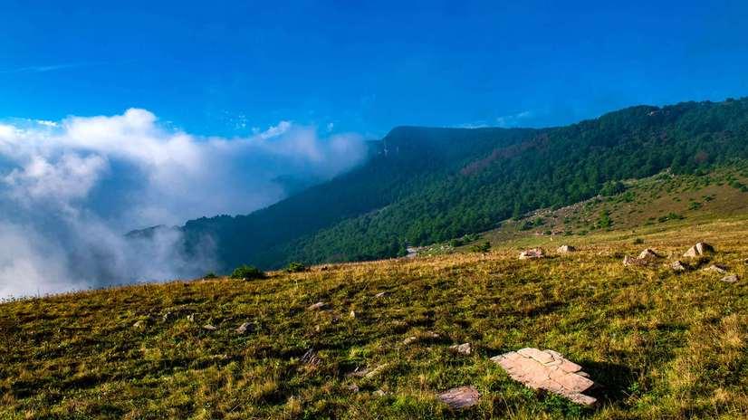 山西沁水历山旅游攻略及综合服务旅行社推荐榜：探“华北绿肺”，解码舜耕故里的“自然与人文诗行”