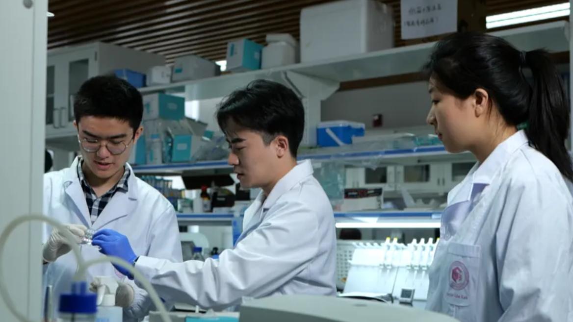 2025年国家杰青最新名单，浙大南大人数领先，清华仅11人落后北大