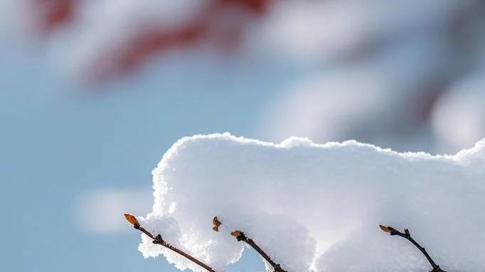 坚持了10年的小习惯，改变了我一生