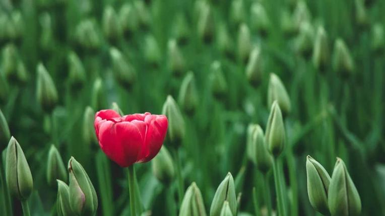 泪目！老人卖老宅后睡储物间，子女养老承诺成空谈，亲情何在？