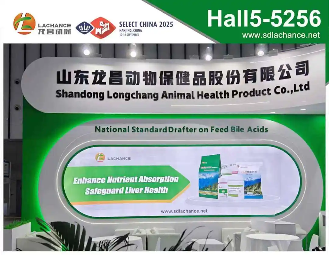 龙昌动保携优化性应用方案，闪耀 2025 VIV SELECT CHINA