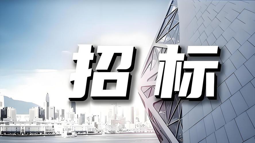 招标代理服务是否属于必须招标项目？