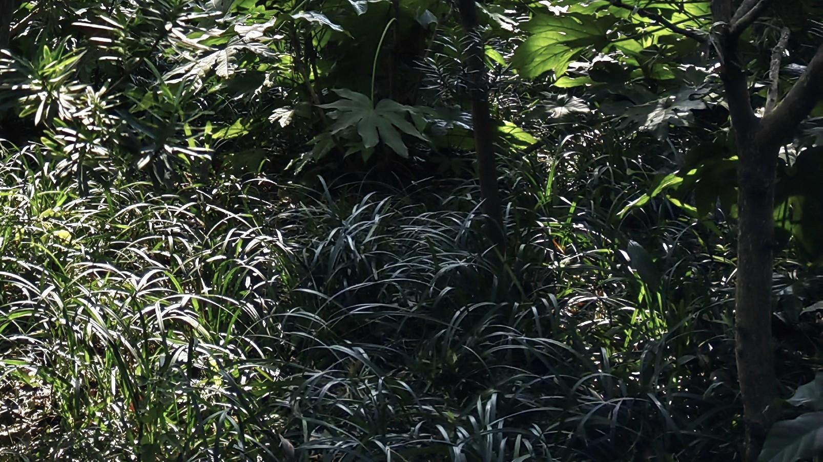 职场做事，计较得失