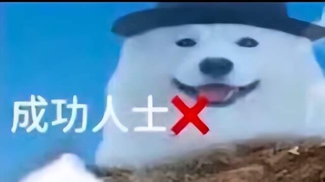 率土家族又整新活，一场入门考试，筛选出了一大批未入率籍云玩家