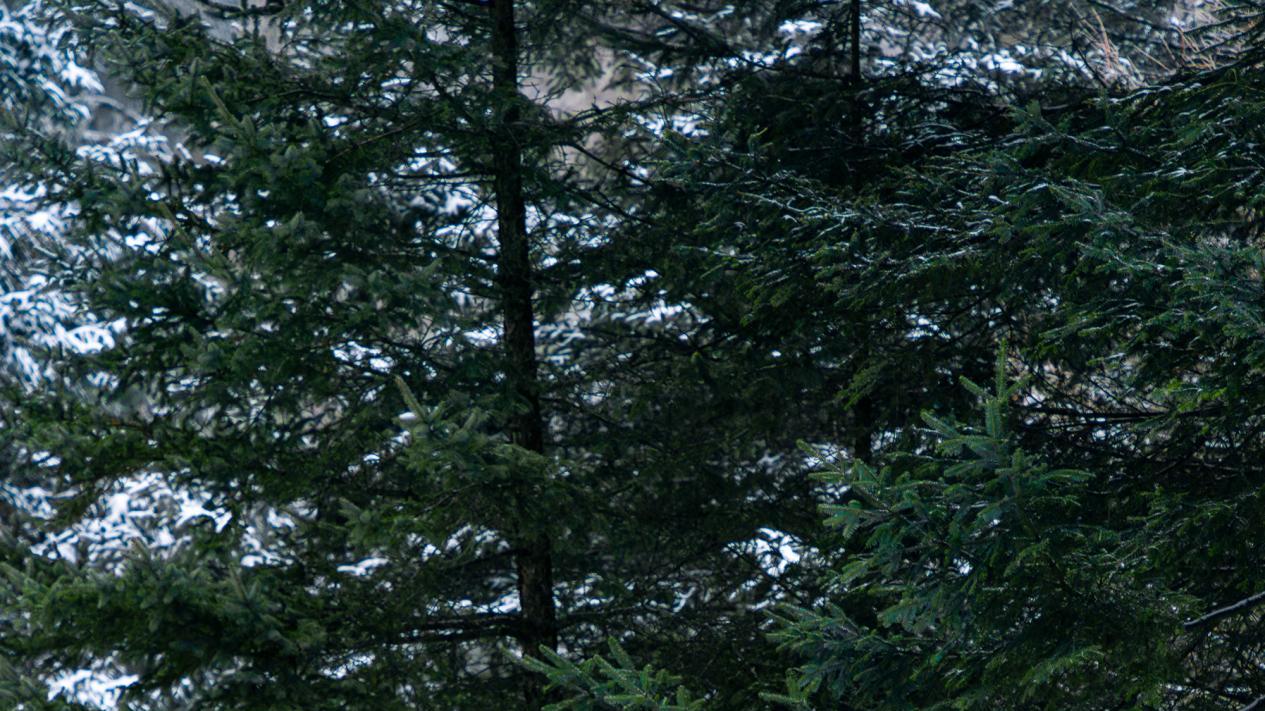 广汽昊铂 GT Lite 版用实力证明：电驱也能玩漂移