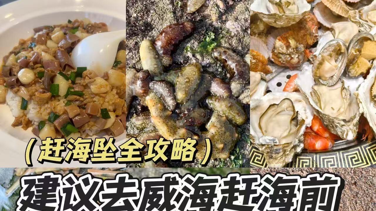 威海冬季赶海，超全旅游攻略