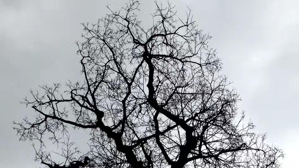 我终于穿越过了，被匮乏感主宰的人生｜三十之辈18