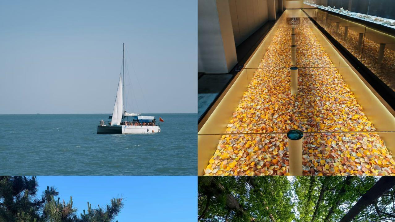 日照三日旅游，轻松又好玩