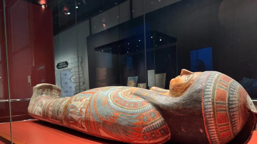 莱顿国家古物博物馆展出十余具木乃伊，穿越五千年探寻古埃及魔力