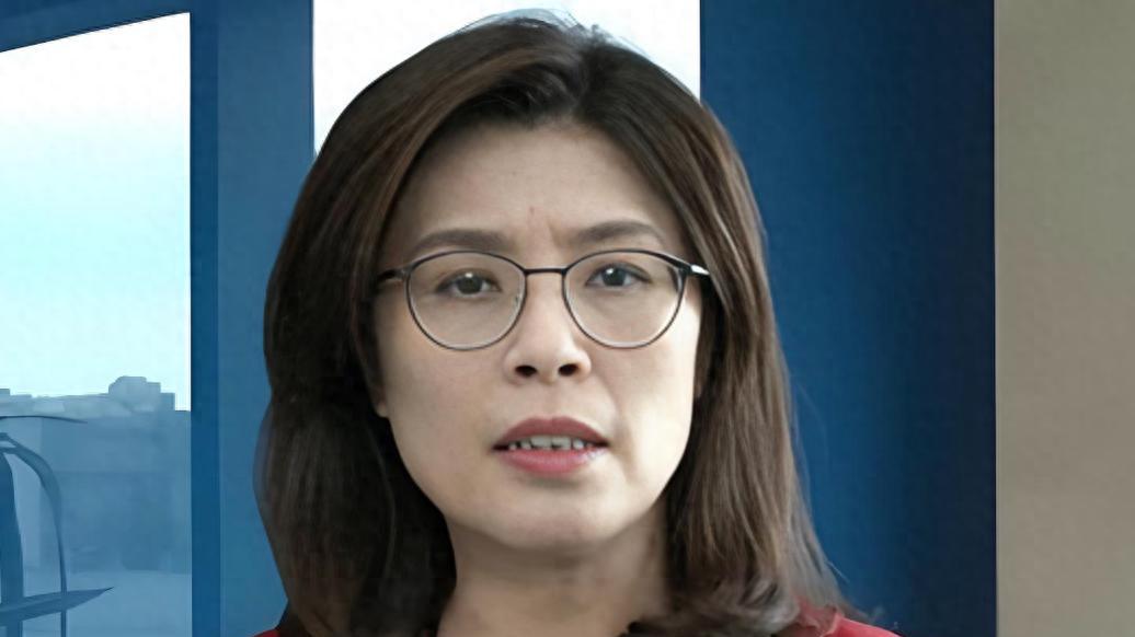 遭批 “脓包” 后郑丽文火速任新将，接连喊 “武力保台”，蔡正元一语戳破关键