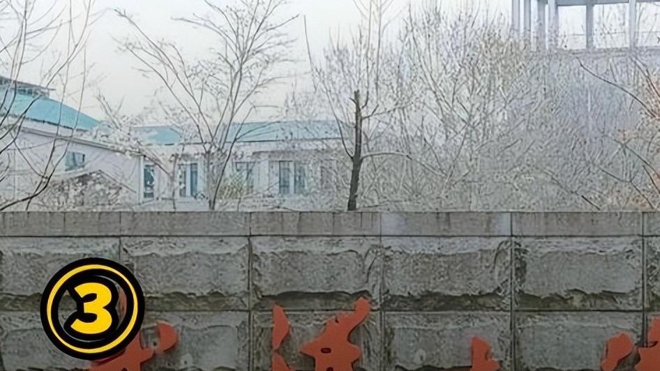 武汉大学图书馆事件二审若反转，影响几何？