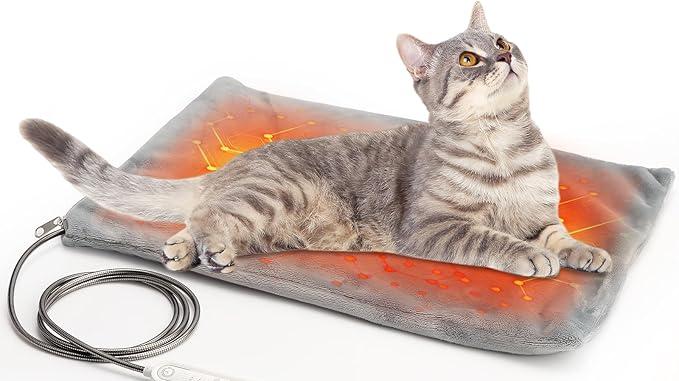 采购量激增35%！宠物取暖产品在海外大卖！下一个百亿级商机来了？