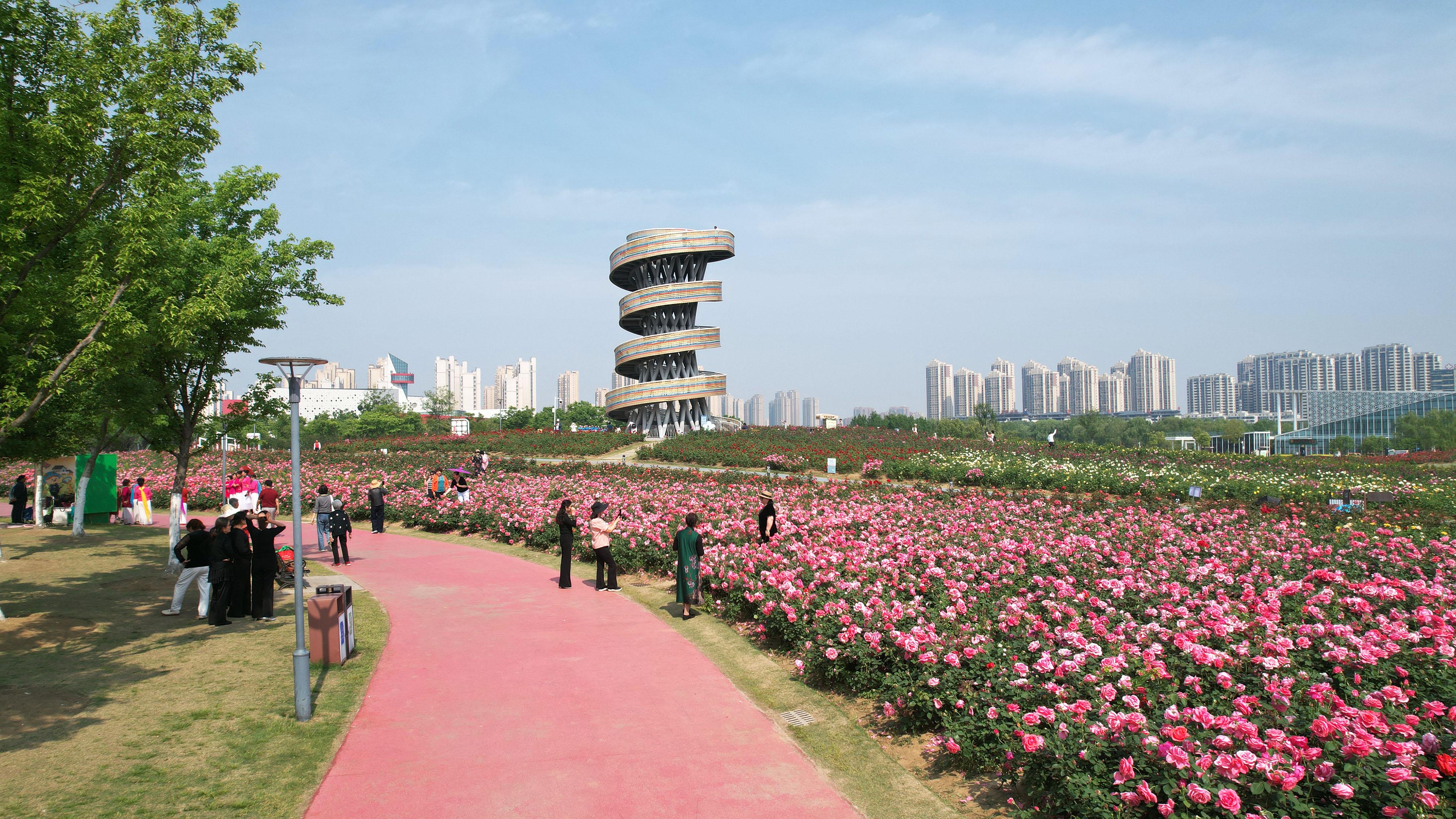 五一假期，合肥瑶海青年创业田园月季花盛放，春日浪漫引市民打卡