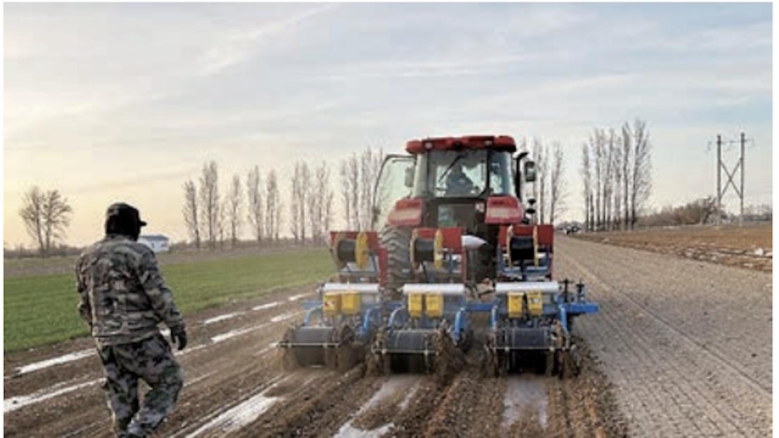 水肥一体化提单产 | 西北绿洲灌区玉米滴灌水肥一体化技术模式