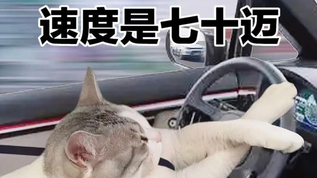 自驾是凡人的取经路