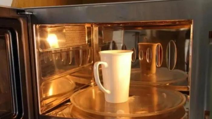 笑死！研究了17年“外星信号”，论文发了一堆，结果发现信号来自微波炉