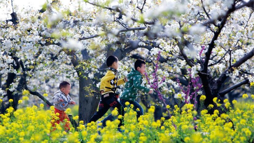 千年“梨变”——梨香晋州：从谏官药箧到亿级产业链