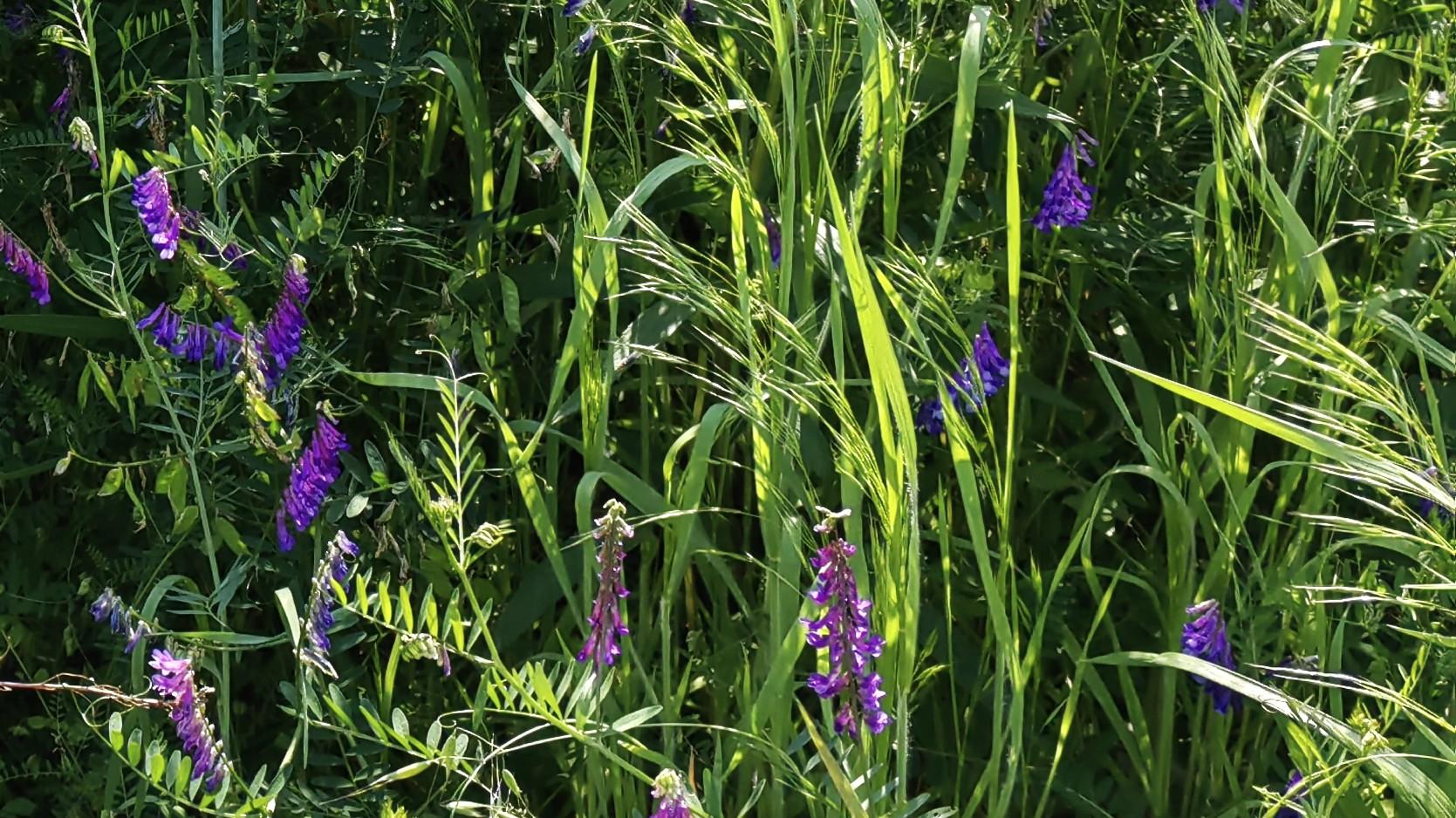 人在职场：决断能力，决定上限