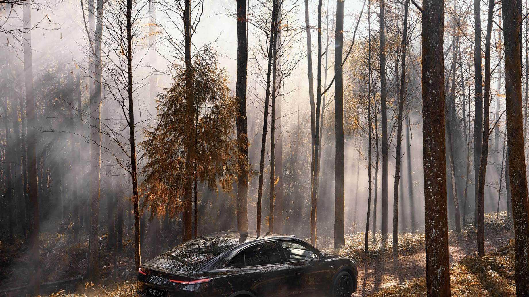 国产造车新势力，搭配黑骑士套件，超低风阻车身，续航707km