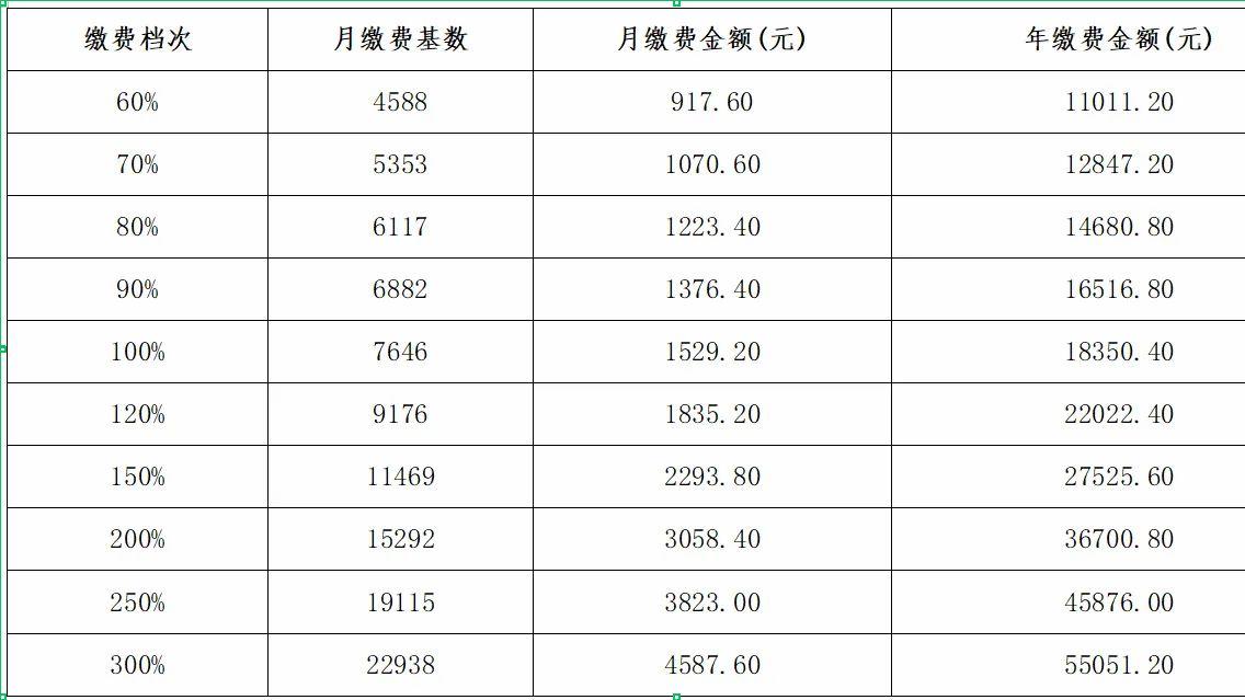 2025年度攀枝花、内江、遂宁、资阳灵活就业人员养老保险缴费标准