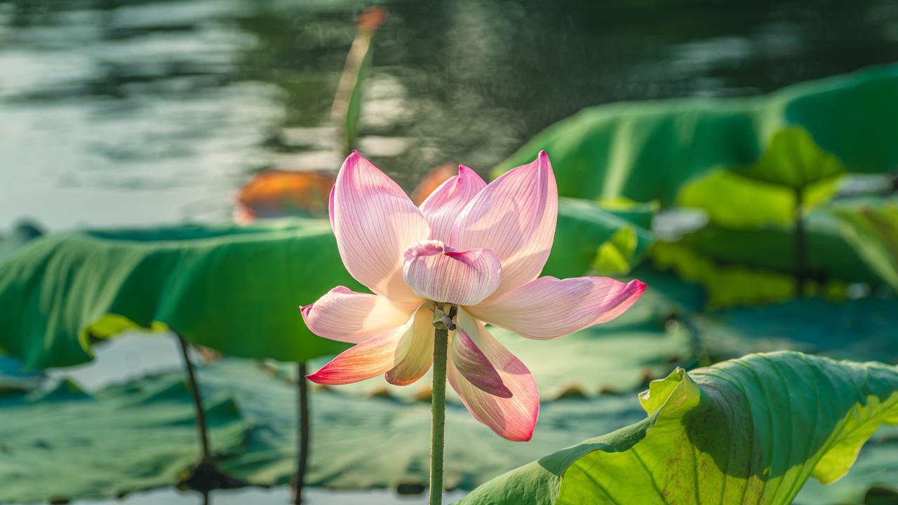 领导打压你，你就打压领导，这3招绝了