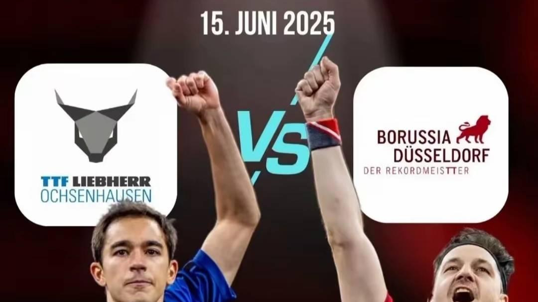 6月樊振东真够忙的 1号解说欧冠赛 9号乒超联赛 15号为好友波尔助阵